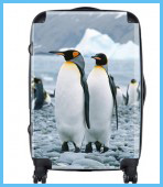 luggage2