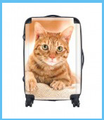 luggage4