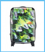 luggage5